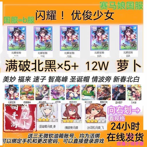 闪耀优俊少女赛马娘国服满破北黑