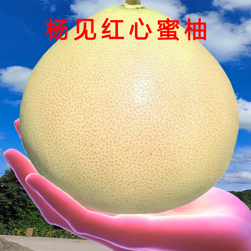 杨见红心蜜柚皮薄肉厚多汁甜润营养又美味