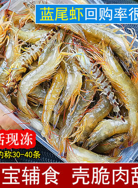 天然海捕蓝尾虾湛江海鲜鲜活现冻