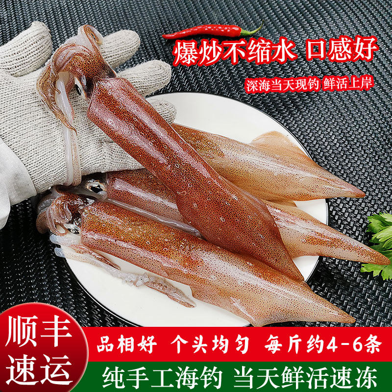 鱿鱼新鲜冷冻鲜活鱿鱼籽乌贼满籽海鲜水产小鱿鱼墨鱼大笔管鱼鲜活