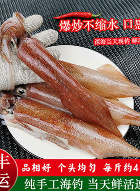 新鲜冷冻乌贼墨鱼海鲜水产