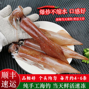 鱿鱼新鲜冷冻鲜活鱿鱼籽乌贼满籽海鲜水产小鱿鱼墨鱼大笔管鱼鲜活