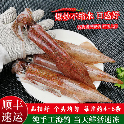 新鲜冷冻乌贼墨鱼海鲜水产