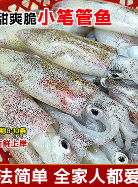 湛江海鲜鱿鱼小管小鱿鱼鲜活冷冻