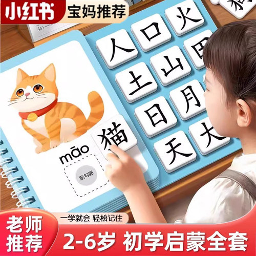 识字书宝宝儿童幼小衔接早教启蒙