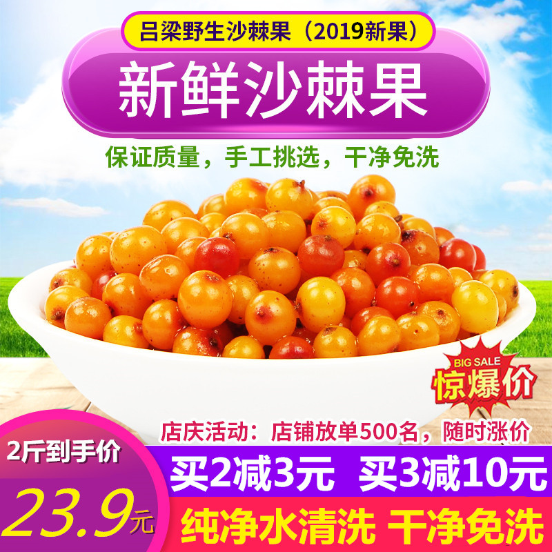 山西特产野生沙棘果新鲜鲜果2斤包邮精选纯天然特级沙棘榨汁酵素