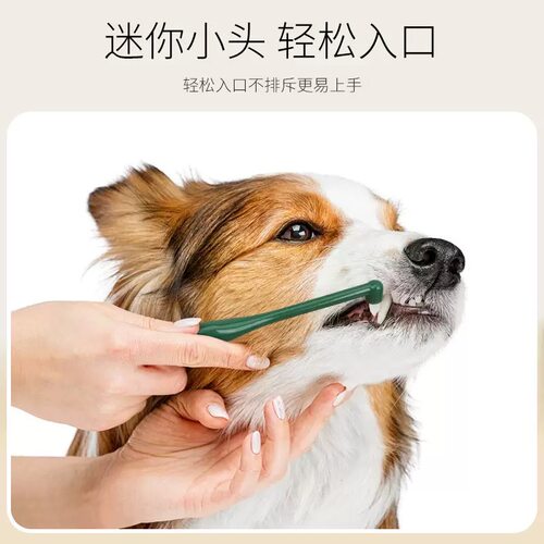 宠物猫狗牙刷口腔清洁牙刷马卡龙猫牙刷迷你尖头牙刷宠物用品批发