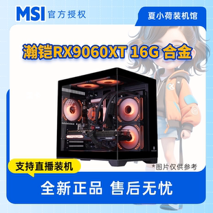 RX9060XT 瀚铠 16G合金 5600 7500F电脑主机 夏小荷 9600X 三角洲