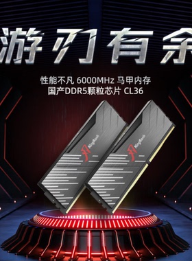 金百达 32GB(16GBX2)套装 DDR5 6000 国产颗粒黑刃无灯 C36内存条