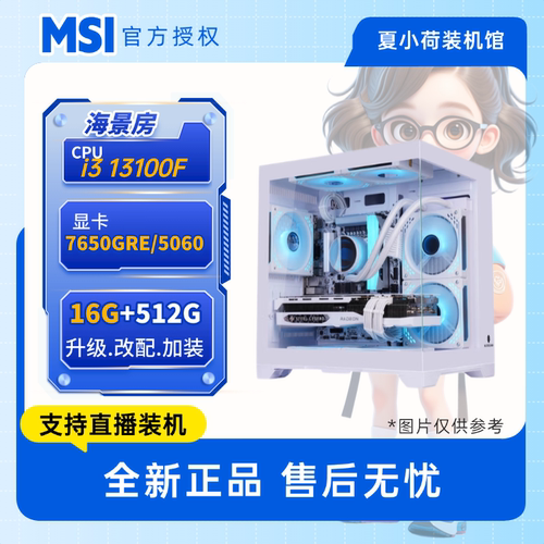 夏小荷 I3  13100F/H610/3050/5050/7650