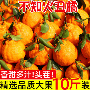 正宗丑橘不知火丑橘新鲜整箱水果当季粑粑丑八怪柑橘耙耙桔子