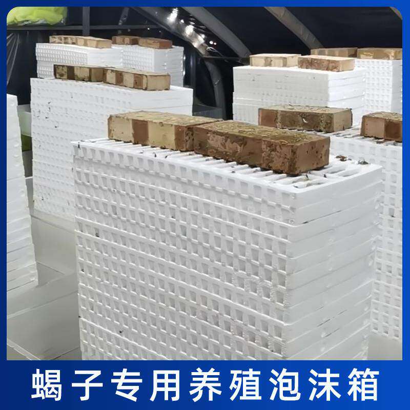 蝎子养殖蝎窝蝎苗二龄三龄四龄繁殖退皮群脱多功能泡沫养殖盒工具