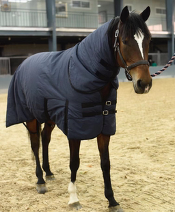 冬季加厚马衣防水防寒加绒马衣保暖小马驹马衣加毛防水防寒马衣