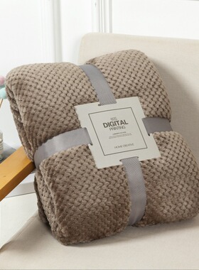 网眼珊瑚绒毯纯色法兰绒毛毯菠萝格绒毯办公室午睡绒跨境车载盖毯