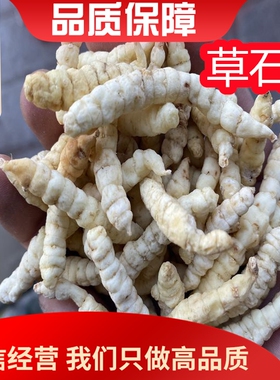 无硫草石蚕500g中药材地蚕土冬白虫草泽兰根甘露子干货可免费打粉