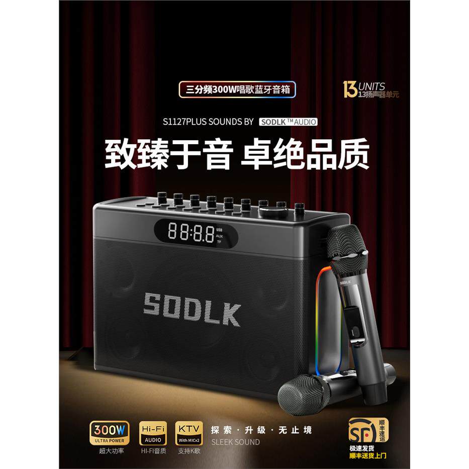 德国进口柏林之声300瓦超
