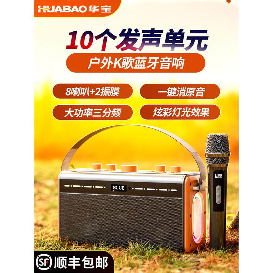 德国进口柏林之声广场舞音响户外蓝牙k歌音箱套装家用手提卡拉ok