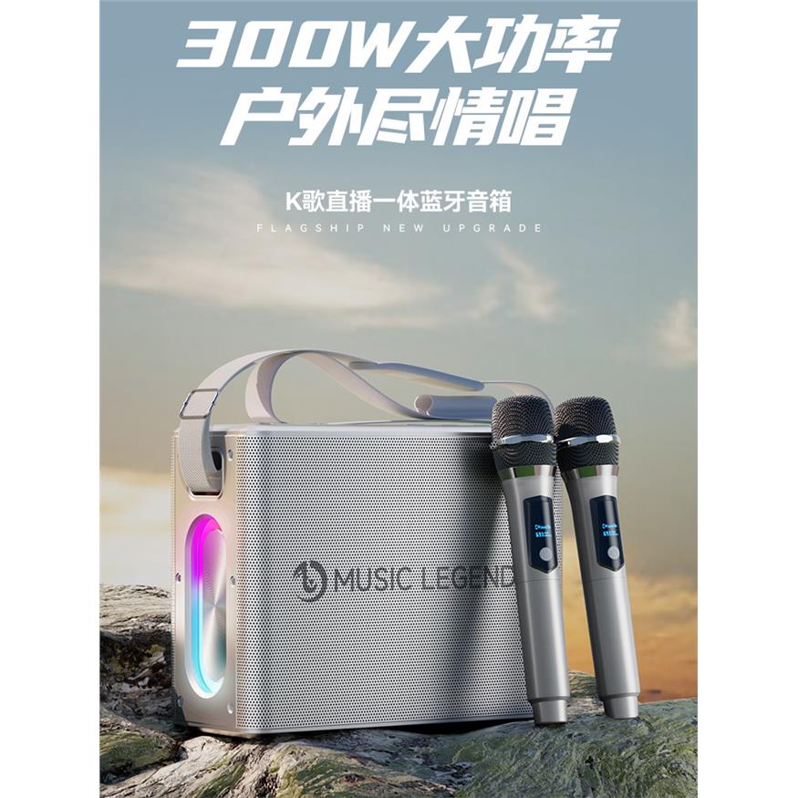 德国进口柏林之声300W蓝
