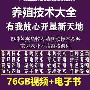 养殖技术鸡鸭鹅兔猪牛羊蝎子蚯蚓黄鳝泥鳅鱼类等家禽视频教程大全