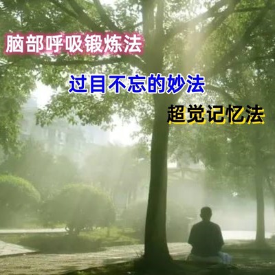 记忆力脑部呼吸锻炼改造大脑过目不忘修炼记忆法养生记忆训练方法
