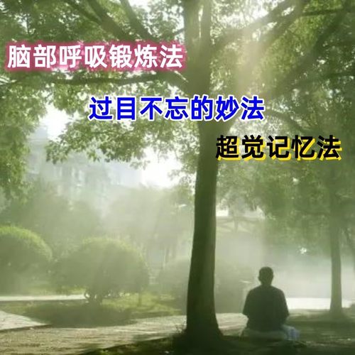 记忆力脑部呼吸锻炼改造大脑过目不忘修炼记忆法养生记忆训练方法