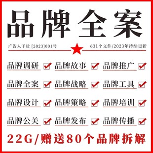 2025精选品牌战略策略公关传播提案运营定位文案PPT策划方案模板