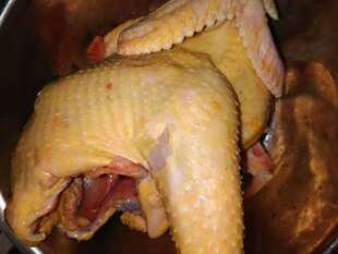 庄河大骨鸡农村散养闯山走地溜达土老母鸡月子笨柴鸡净肉现杀包邮