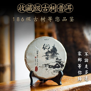 高货[乡音]186棵茶山超级古树2024年春普洱生茶饼茶农人茶坊