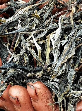 九辈人古树生茶大长腿1000克云南临洱茶春茶散茶农人