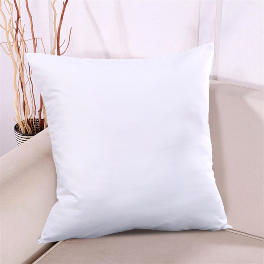 内胆套皮靠拉链款抱枕芯