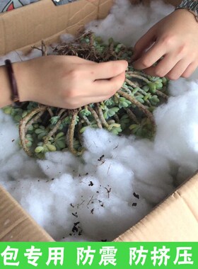 丝棉PP棉多肉打包棉花成卷丝棉高弹抱枕头坐垫玩偶靠垫坐垫填充棉