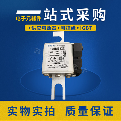 巴斯曼 熔断器 保险丝170M1368 170M1369 170M1419 170M3122 低压