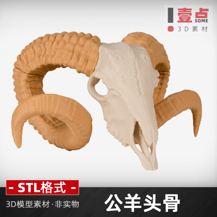公羊头骨STL格式文件三维立体图圆雕图动物山羊模型3d打印素材