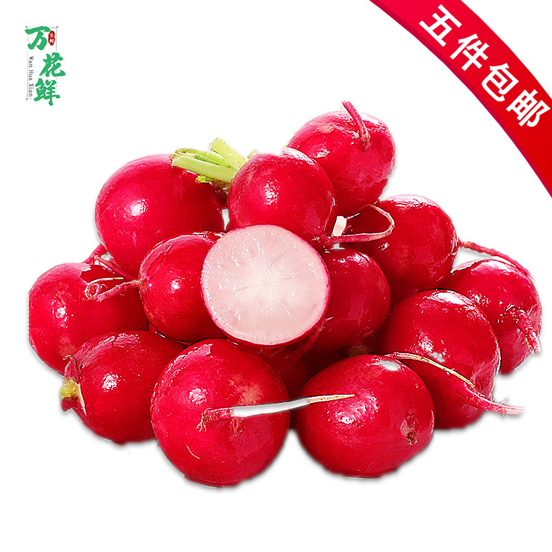 新鲜樱桃萝卜500g蔬菜摆盘装饰