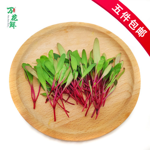 新鲜可食用20g摆盘装饰