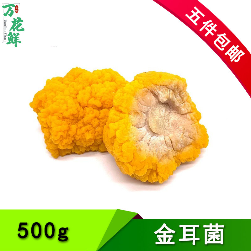 新鲜黄金耳菌菇黄耳菌金耳菌新鲜菌菇云南野生食用菌脑耳500克