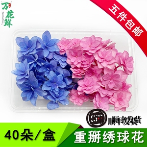 新鲜绣球花重瓣绣球花蓝色粉色酒店饭店西餐冷艺摆盘装饰花草
