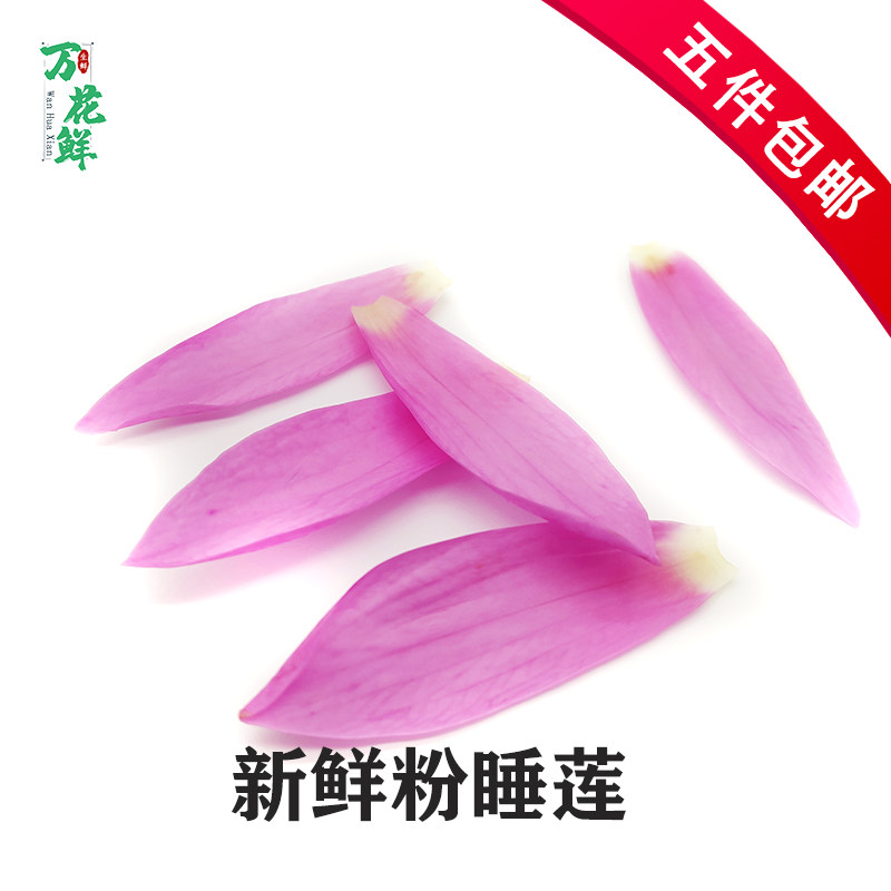 新鲜酒店饭店可食用摆盘装饰
