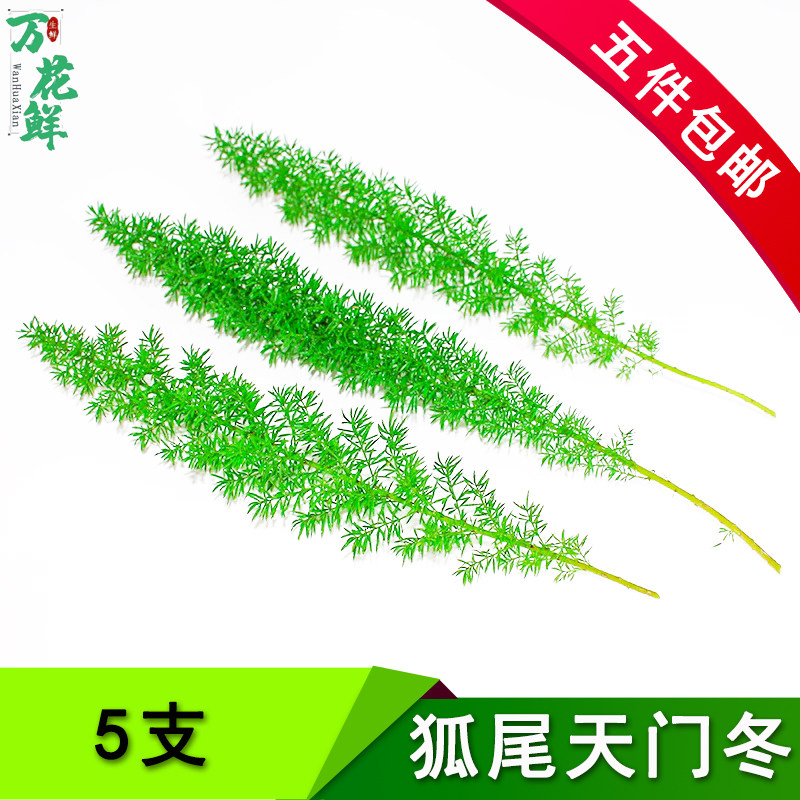 新鲜狐尾天门冬日料烘培刺身餐饮西餐酒店菜品摆盘装饰花草点缀