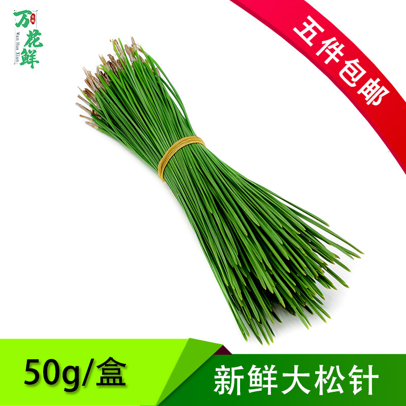 新鲜50g柳芽摆盘装饰蓬莱