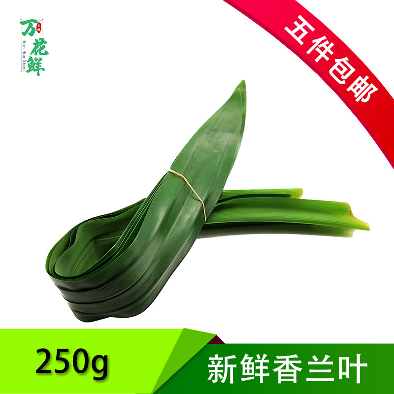 香兰叶新鲜斑斓叶斑兰叶调料糕点新鲜香料甲抛叶250g西餐酒店食材