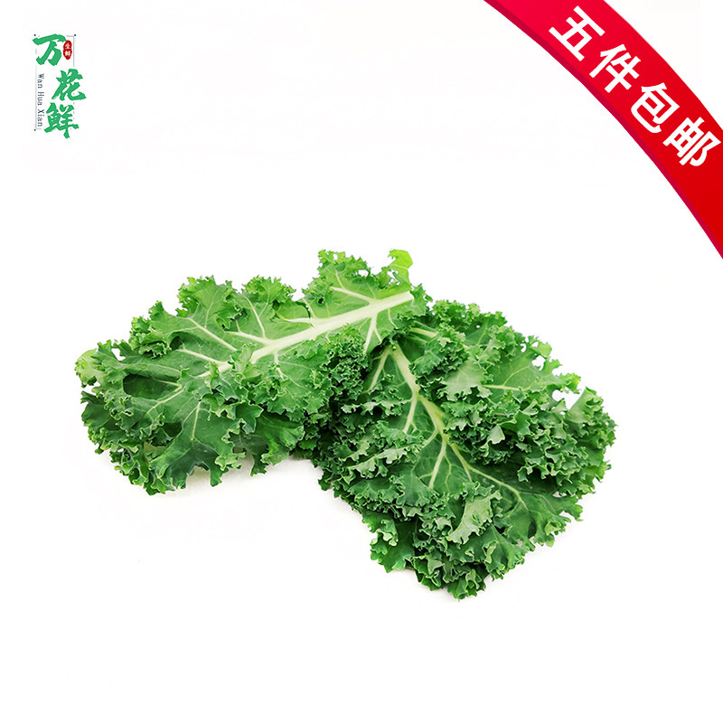 羽衣甘蓝新鲜蔬菜食用榨汁烤片健身轻食500g包邮西餐沙拉蔬菜