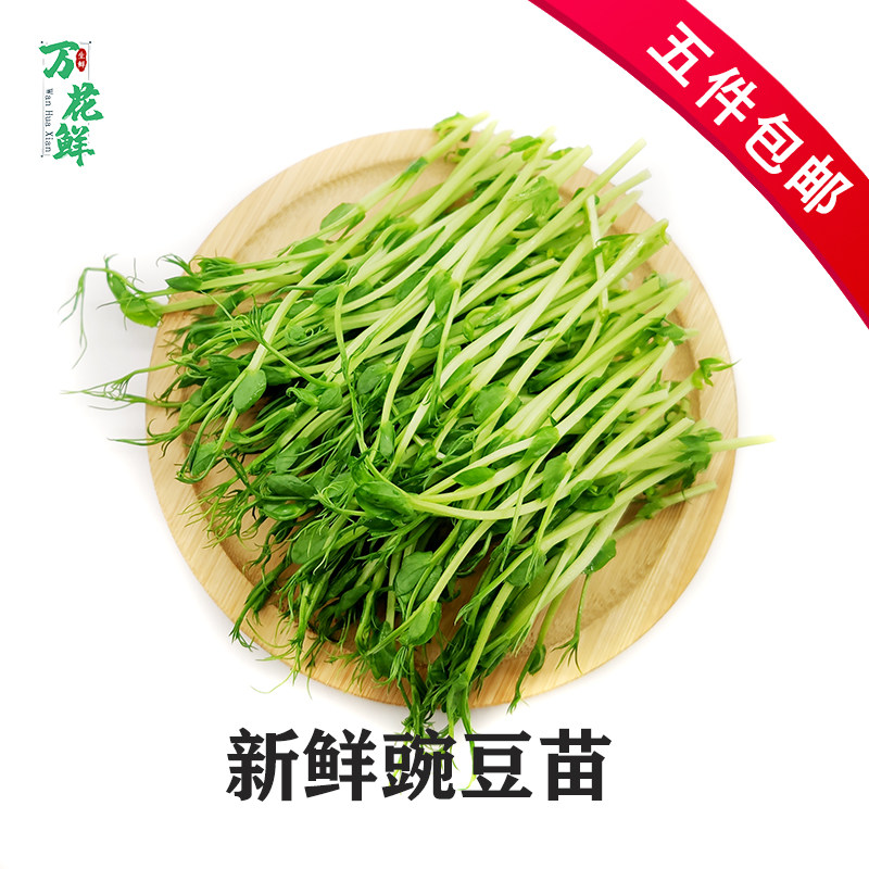 新鲜豌豆苗250g可食用