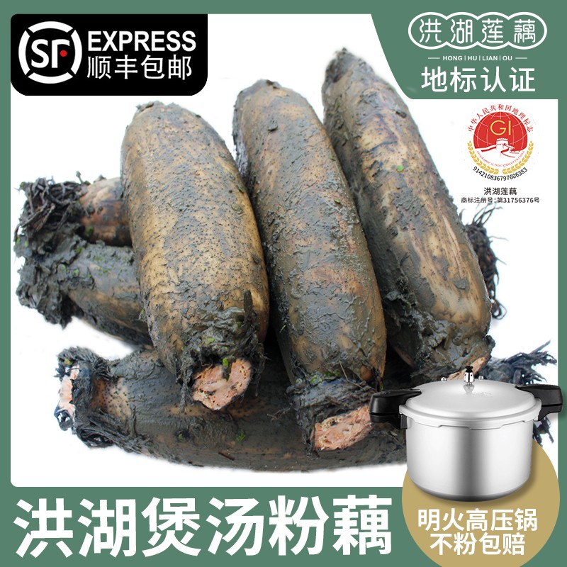 湖北洪湖带泥粉藕特产莲藕煲汤炖汤新鲜糖藕糯米藕莲藕现挖现发