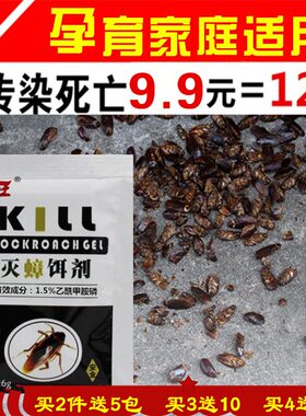 坤宁王蟑螂药高效安全全窝端