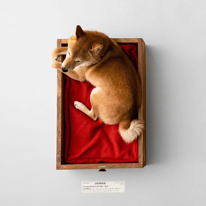 限量日本进口PUEBCO复古老木抽屉宠物睡床加厚猫咪狗狗窝可拆卸
