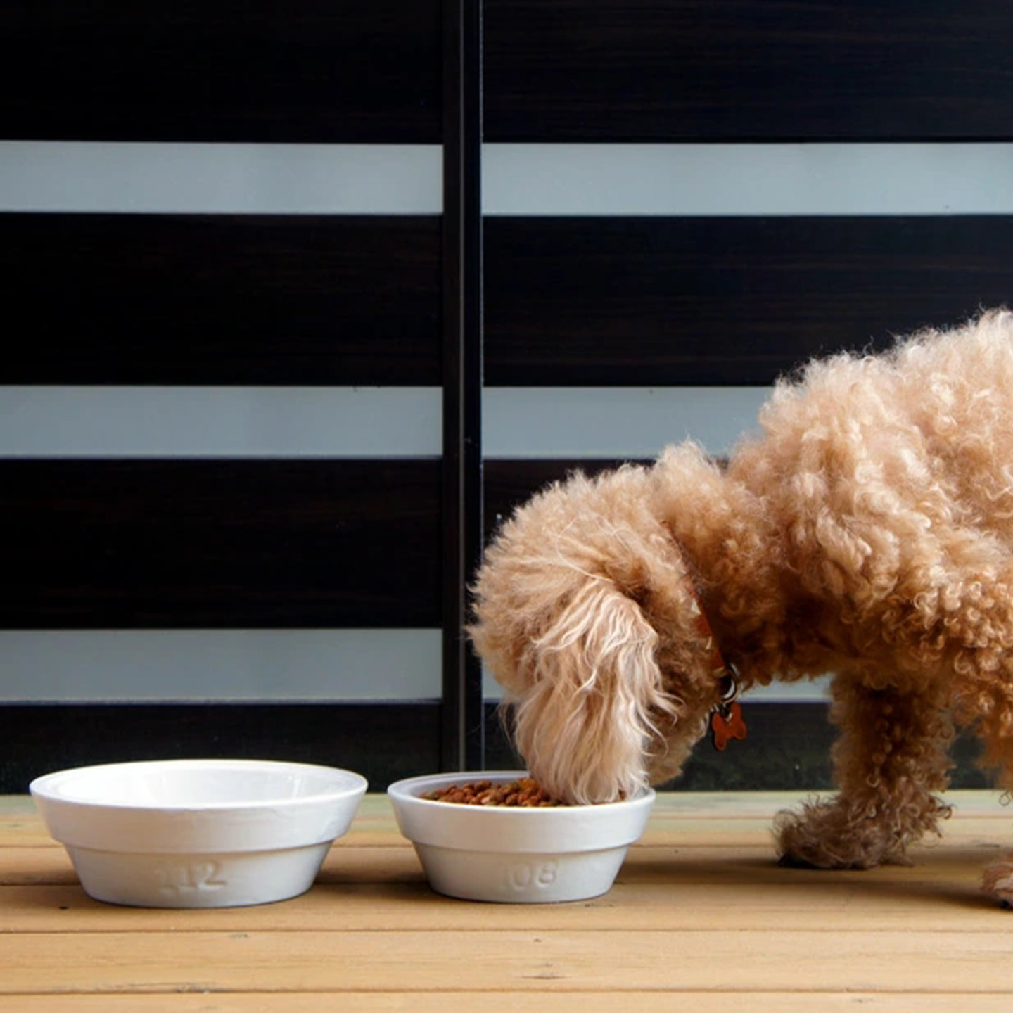 日本PUEBCO宠物碗狗碗猫碗放粮