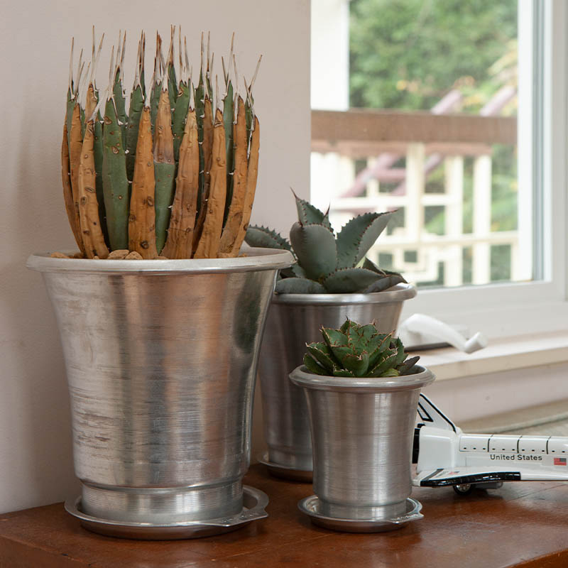 日本DULTON 铝制块根植物多肉植物花盆含托盘简约耐用大气多功能