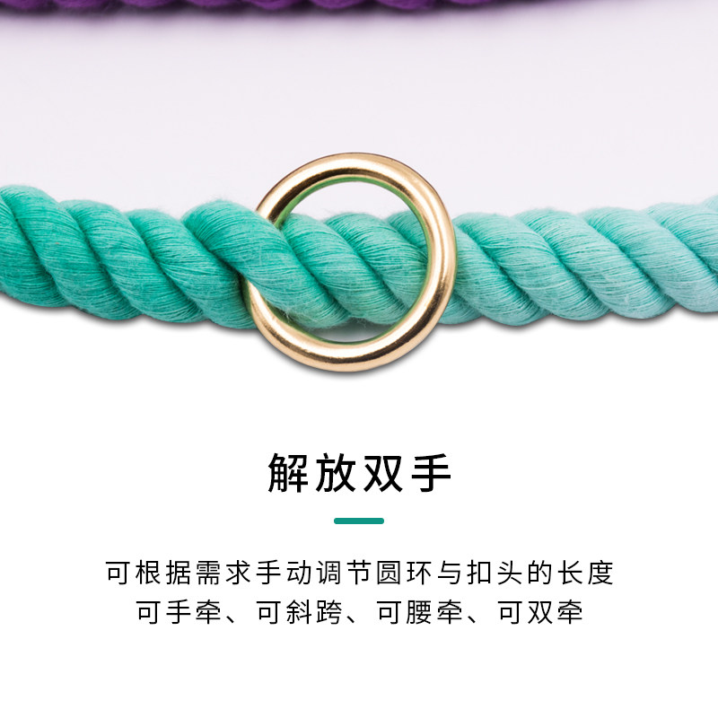 彩色渐变宠物牵引绳P链双头狗链中小型犬柯基两只狗一拖二溜狗绳