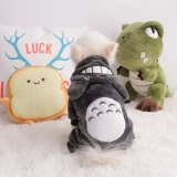 Одежда для щенков осенью и зимой, толщиной в четыре фута милые плюшевые кошки лучше, чем красота маленькая средняя собака зима